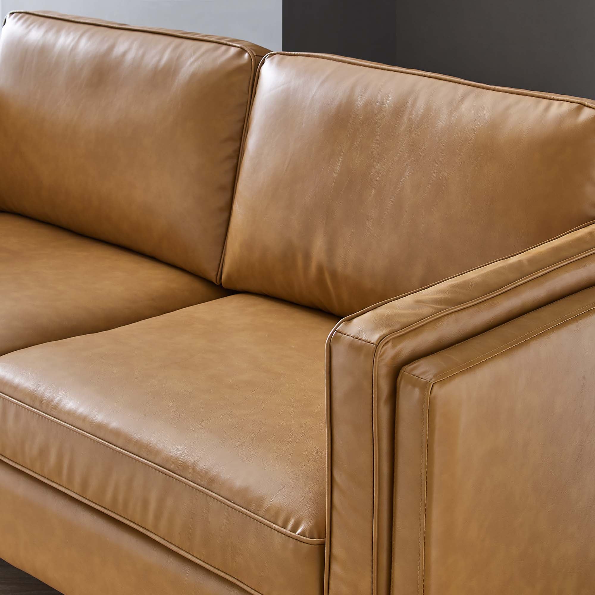 Kaiya Vegan Leather Sofa view 5
